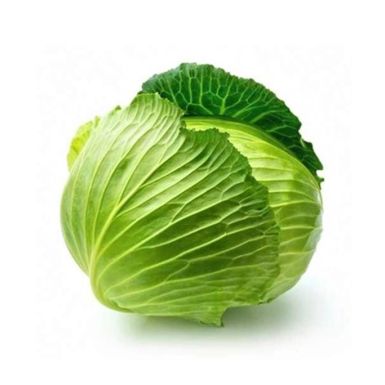 Cabbage (કોબી)