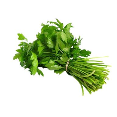 Coriander