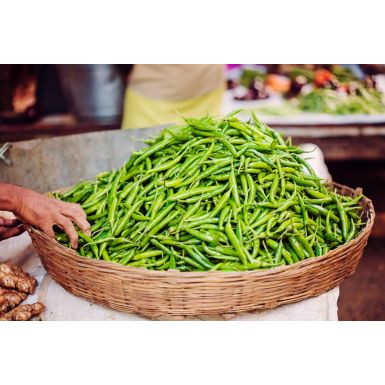 Green Chilli (મરચાં)