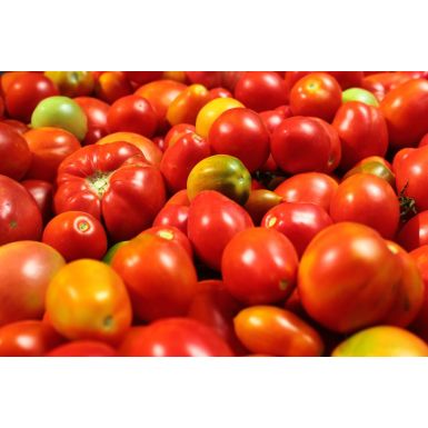 Tomato (ટામેટા)